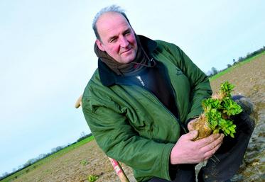 Hervé Sannier : «Cela se plante à 330 000 pieds à l’hectare. Il faut mettre douze graines au mètre.»