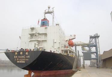 Les exportations restent portées vers l’Arabie saoudite (39 % des ventes au 7 janvier), suivie par la Chine (28 %).