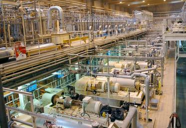 En hausse de + 1,8 % en 2018, la production d'amidon fait vivre 700 000 hectares de surfaces agricoles.