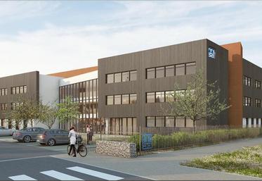 La Cour des comptes recommande à la MSA, entre autres, de «réformer en conséquence» son organisation territoriale.