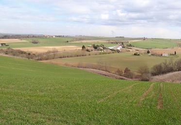 L’enquête a recueilli 10 183 réponses, dont 7 677 réponses complètes, ce qui est plutôt important pour une enquête 
en ligne, d’après Arvalis.