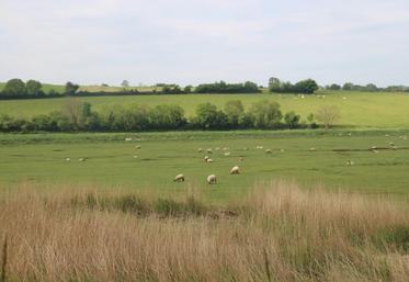 La plus forte demande des consommateurs en agneaux de prés salés est au printemps. Or, la production débute en juillet. 