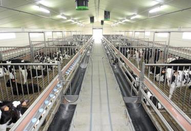 La filière veau de boucherie a intégré le réseau national Inosys afin de produire et suivre des modèles de production 
et diffuser des repères pour le conseil et le pilotage de la filière.