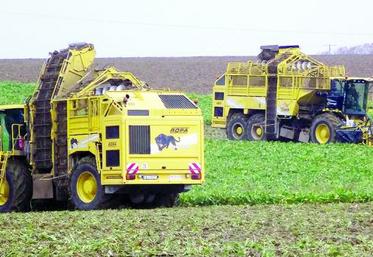 Lors de la démonstration, la nouvelle arracheuse intégrale Tiger 5 (3 essieux), a été présentée en avant-première aux Cuma.