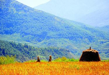 Le Bhoutan est certainement un précurseur en matière de mesure du bien-être des individus qui composent sa société. D’autres s’inspirent de ce pays aujourd’hui dans ce domaine.