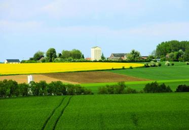 Les aides seront attribuées de manière beaucoup plus forfaitaire, quelle que soit la production.