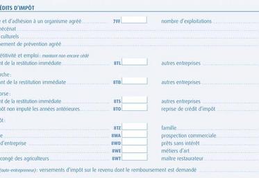 Les exploitants peuvent bénéficier de crédits ou réductions d’impôts liés à leur activité professionnelle.