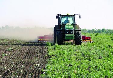 Un couvert bien développé est plus facile à détruire.