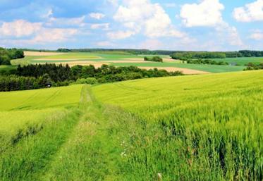 Le bail à long terme est un outil indispensable qui permet de transmettre du foncier à moindre coût.