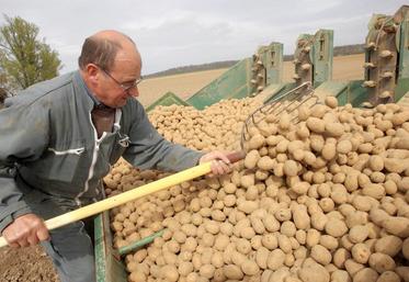 La plantation reste une étape primordiale dans la conduite de la culture.