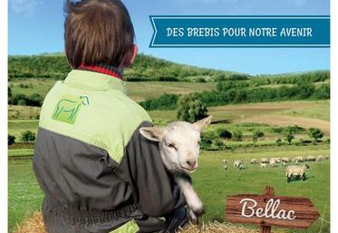 Le salon 2017 était placé sous le signe de l’installation.