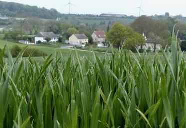 Le diagnostique est une cartographie réelle de l’occupation de l’espace à un moment donné.