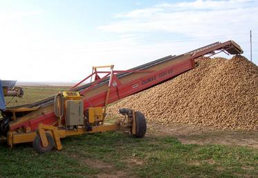 Pour la filière fécule à l’échelle de la France, «les surfaces ont plutôt tendance à augmenter» constate Olivier Brasset, président de la commission «fécule» de l’UNPT et président de la coopérative féculière de Vecquemont le 5 novembre, mais les rendements ne suivent pas.
