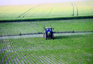 En 2012, le résultat du désherbage est resté «satisfaisant» par rapport aux conditions de l’année.