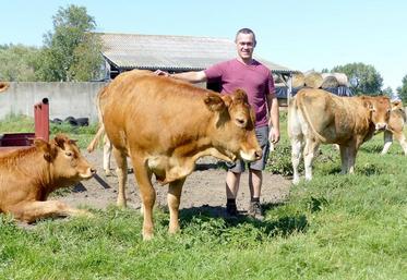 Pour Arnaud Fauchatre, «faire naître les veaux et les voir grandir est un travail gratifiant». 