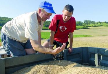 Le salaire différé correspond au paiement, a posteriori, de la participation gratuite d’un descendant à la mise en valeur de l’exploitation familiale.