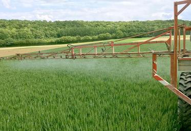 Sans attendre les signatures des chartes départementales prévues par la loi EGAlim, le gouvernement lance une consultation publique sur un projet de décret et d’arrêté décrié par la profession.