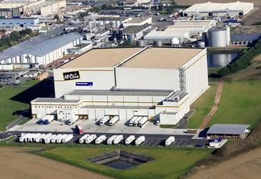 En 2022, McCain devrait pouvoir compter sur la production d’environ 17 000 ha, avec une progression  de 1 415 ha.