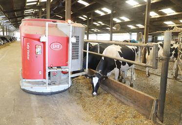 Quatre robots de traite, un système d’alimentation Vector, un robot Collector et un racleur, l’exploitation compte au total huit appareils de la gamme Lely.