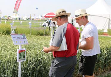 Des centaines de vitrines végétales, d’experts, d’exposants font des Culturales un rendez-vous de référence pour les filières de production des grandes cultures.