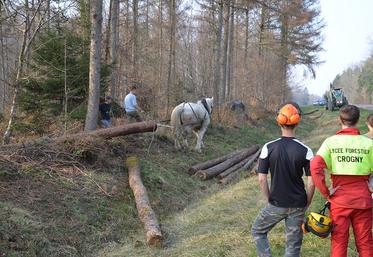Le Bachelor management option Bois et dérivés se composera à la fois de cours théoriques et de pratiques mais aussi de visites et de rencontres avec  des professionnels, transformateurs, scieries, ainsi que les acteurs du bois  privés, comme publics. 