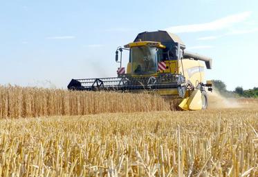 Selon Arvalis, 35 millions de tonnes de blé tendre devraient être récoltées contre 36,6 en 2017.