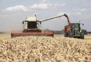 La moisson des blés avance à petit pas, rythmée par la maturité de cette céréale.