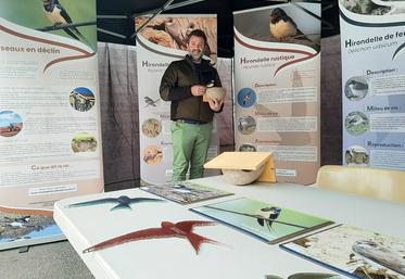 Animateur-nature pour la Fédération des chasseurs de la Somme, Maxime Fourdinier était, cette semaine, sur le marché  de Moreuil pour une matinée de sensibilisation à la préservation de l’habitat des hirondelles. 