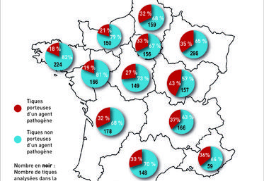 Compte tenu du nombre important de tiques porteuses d’agents pathogènes, la prévention doit être particulièrement forte dans des départements comme ceux du nord de la France.