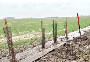Les présidents du Conseil départemental de la Somme et de la fédération départementale des chasseurs ont participé au chantier de plantation de haies arbustives, dans l’ouest du département. Une opération qui en appelle d’autres pour la reconquête de la biodiversité. 