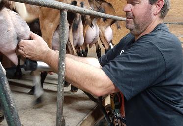 Éric Chauffeton élève des chèvres (et des brebis) depuis 14 ans à Reilhac pour la fabrication de fromages, dont le Rocamadour.