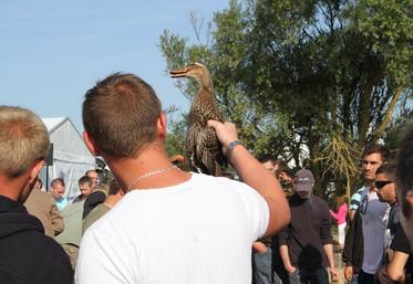 salon des migrateurs