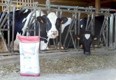 Le produit “Rimiflor+” a été testé dans une quinzaine d’élevages adhérents du CIA Gènes Diffusion.