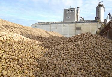 Cour de l’usine de Vecquemont, où les pommes de terre livrées commencent à suivre leur parcours de transformation.