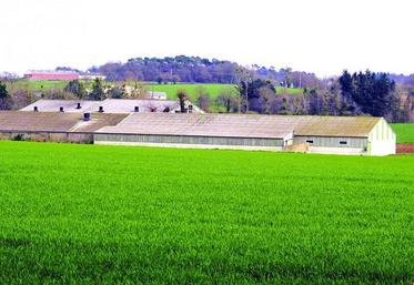 L'administration profite de la création d'un régime intermédiaire entre la déclaration et l'autorisation, demandé par la profession pour les élevages de porcs, pour renforcer encore les contraintes pour tous les régimes et tous les types d'élevage.