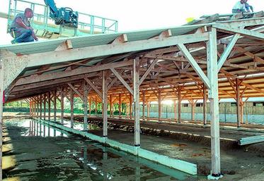 Avant de se lancer dans de grands projets, il faut tout prendre en compte. Un regard extérieur est souvent utile 
et toujours bienvenu.