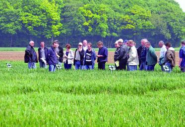 Aubvillers-Sourdon : visite de la plateforme gestion responsable, sur une parcelle d’essais où a été testée la nouvelle matière active anti-graminée utilisable sur blé, à l’automne.