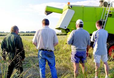 L'an prochain la redistribution des aides Pac change, si vous êtes en Gaec réfléchissez à l'optimisation des 52 ha.