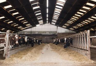 Le Gaec de Belval a opté pour une conduite en deux lots pour assurer l’efficacité du système.