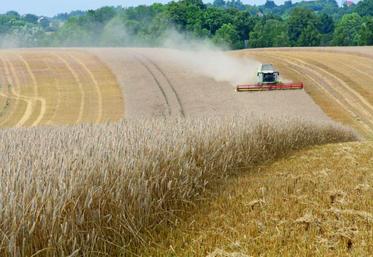 Alors que la moisson des blés n’est qu’à peine engagée, et que celle des colzas a peu progressé, il n’y a pas, 
à l’heure actuelle, de perspectives d’amélioration des rendements sur la partie restante.