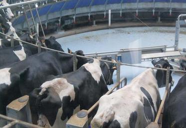 Les six prévenus sont poursuivis pour leur action syndicale de «démontage d’éléments de la salle de traite» en mai 2014.