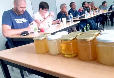 Le comité de dégustation a évalué à l’aveugle les échantillons d’une quinzaine d’apiculteurs professionnels le 7 octobre  à Amiens.