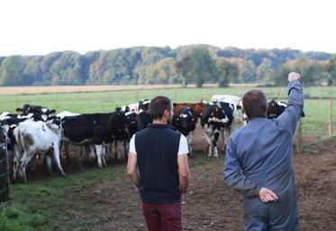 Il est impératif de connaître sa marge brute lait pour l’améliorer et pour que élevage puisse subvenir aux besoins.