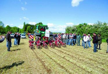 Les bandes de semis sont travaillées par des éléments étroits pour les cultures à fort espacement entre rangs.