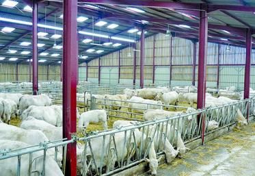 Le Gaec Voiret à Andelain (02).