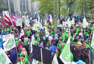 Délégations d’agriculteurs venus manifester à Bruxelles.