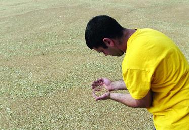 La qualité est un atout majeur face à la concurrence.