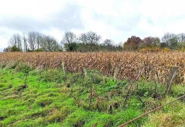 Malgré une avancée réelle sur le nouveau calcul du ratio, la profession maintient la pression sur l’administration.