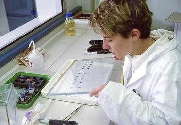 Seleggt prévoit de vendre 1 million de poussins en 2019, pour un surcoût de 2 centimes de l’œuf.