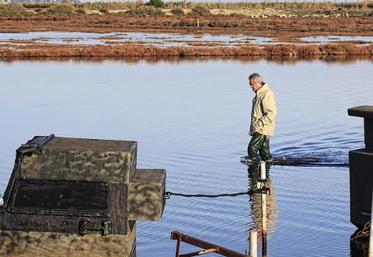 Dès samedi, des opérations de régulation des espèces susceptibles d’occasionner des dégâts pourront avoir lieu dans le département de la Somme. La chasse du gibier d’eau reste quant à elle suspendue.
